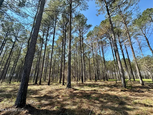 $99,000 | 0 Morgan Road, Canton, MS 39046