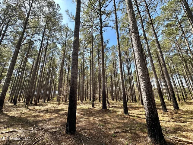 $99,000 | 0 Morgan Road, Canton, MS 39046