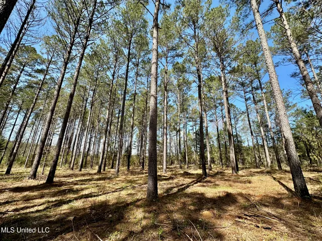 $99,000 | 0 Morgan Road, Canton, MS 39046