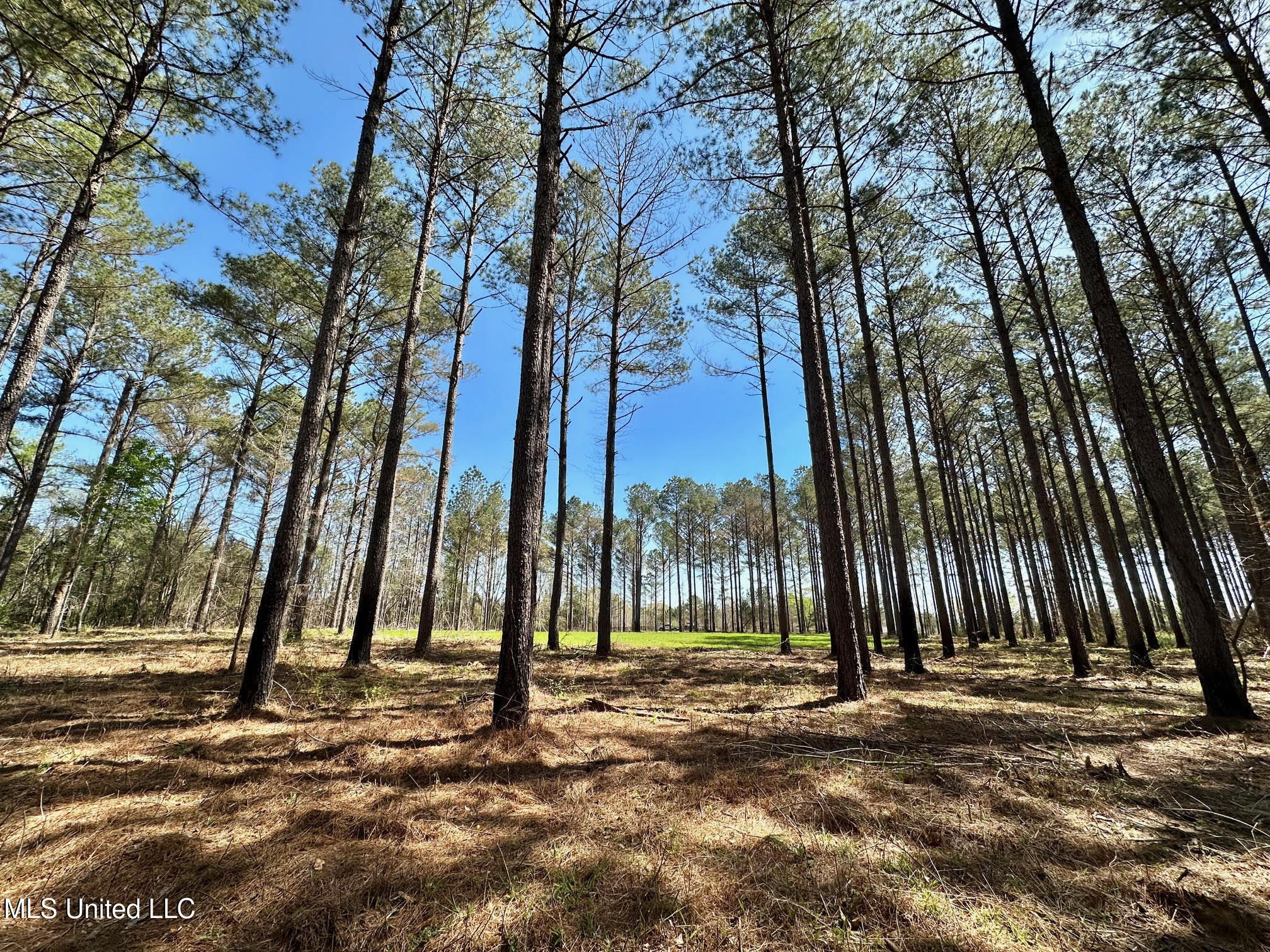 0 Morgan Road Canton, MS 39046 - Photo 9 of 21 9