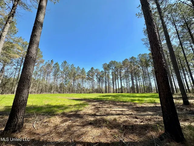 $99,000 | 0 Morgan Road, Canton, MS 39046