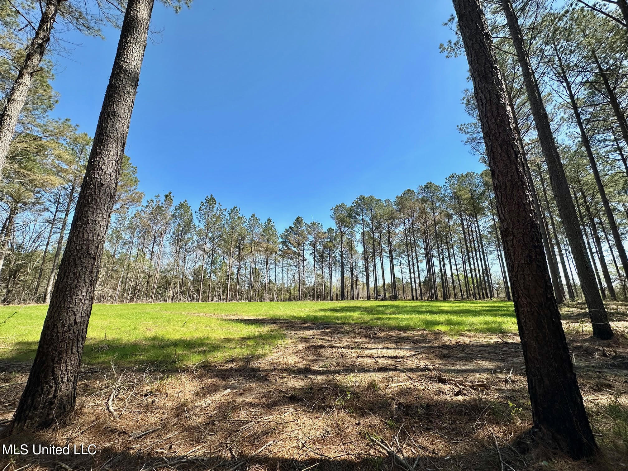 0 Morgan Road Canton, MS 39046 - Photo 10 of 21 10