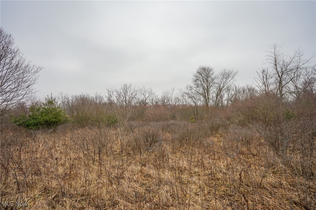 Red Lane Road Cumberland, OH 43732 - Photo 5 of 18 View of local wilderness