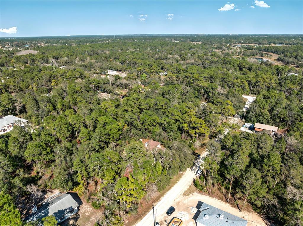 9003 Glenarm Way Weeki Wachee, FL 34613 - Photo 12 of 12 an aerial view of residential houses with outdoor space and trees