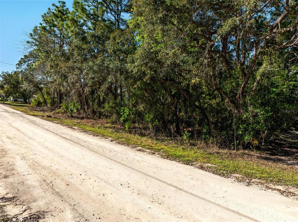 9003 Glenarm Way Weeki Wachee, FL 34613 - Photo 2 of 12 a view of a backyard of a house