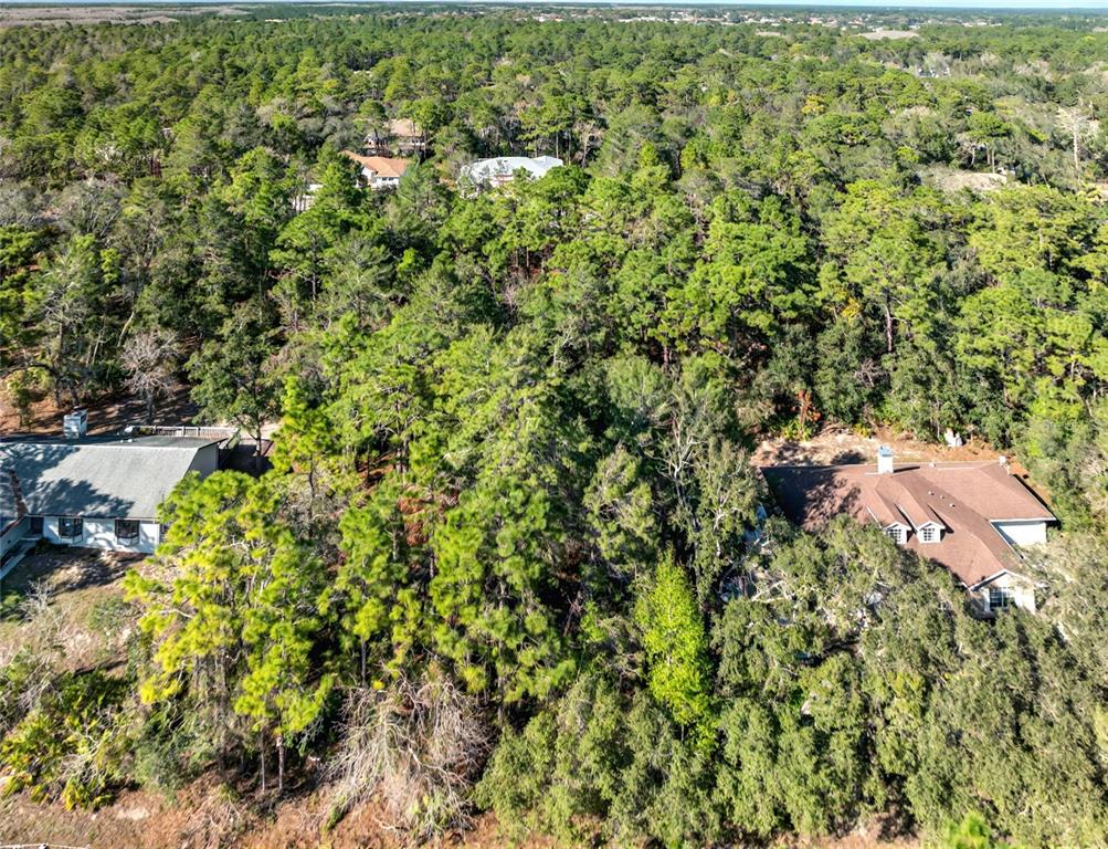 9003 Glenarm Way Weeki Wachee, FL 34613 - Photo 3 of 12 a backyard of a house with a lots of plants