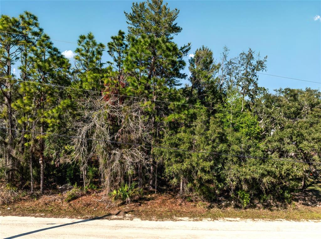 9003 Glenarm Way Weeki Wachee, FL 34613 - Photo 4 of 12 a view of a yard