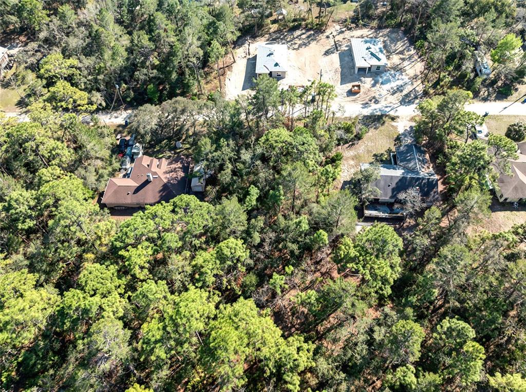 9003 Glenarm Way Weeki Wachee, FL 34613 - Photo 7 of 12 a view of a house with a yard