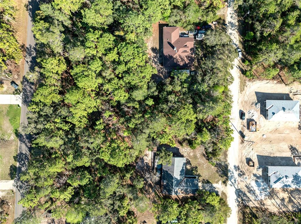 9003 Glenarm Way Weeki Wachee, FL 34613 - Photo 9 of 12 an aerial view of a house with a yard