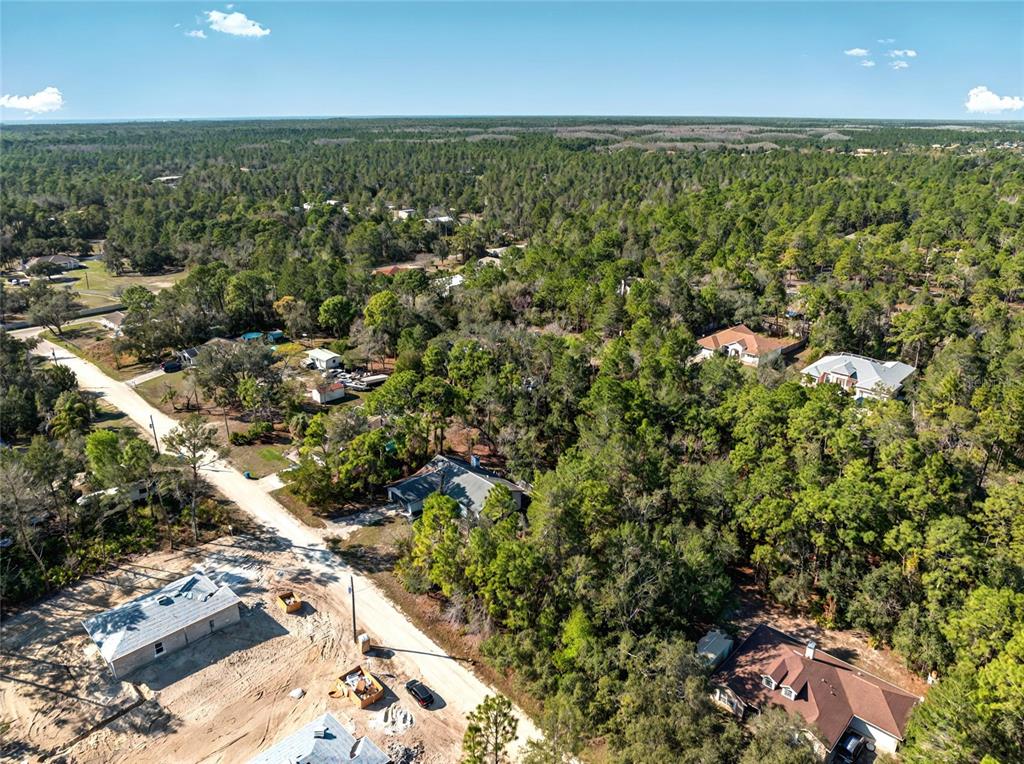 9003 Glenarm Way Weeki Wachee, FL 34613 - Photo 10 of 12 an aerial view of residential houses with outdoor space and trees