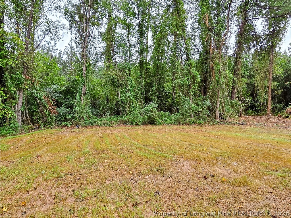 490 Needmore Road Carthage, NC 28327 - Photo 34 of 34 Gallery Image 34