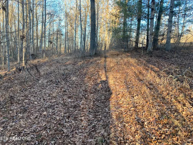 $21,800 | 8 & 9, Robbins, TN 37852