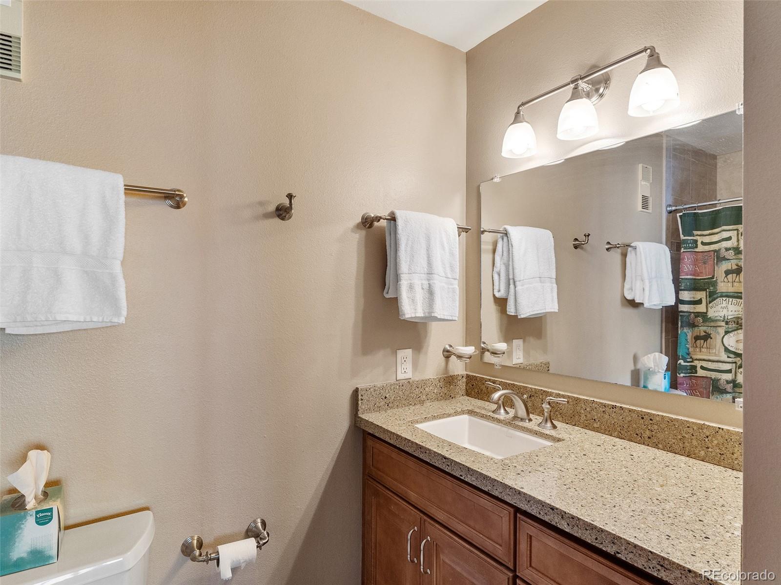1680 Ranch Road, Unit 210 Steamboat Springs, CO 80487 - Photo 19 of 26 Gallery Image 19