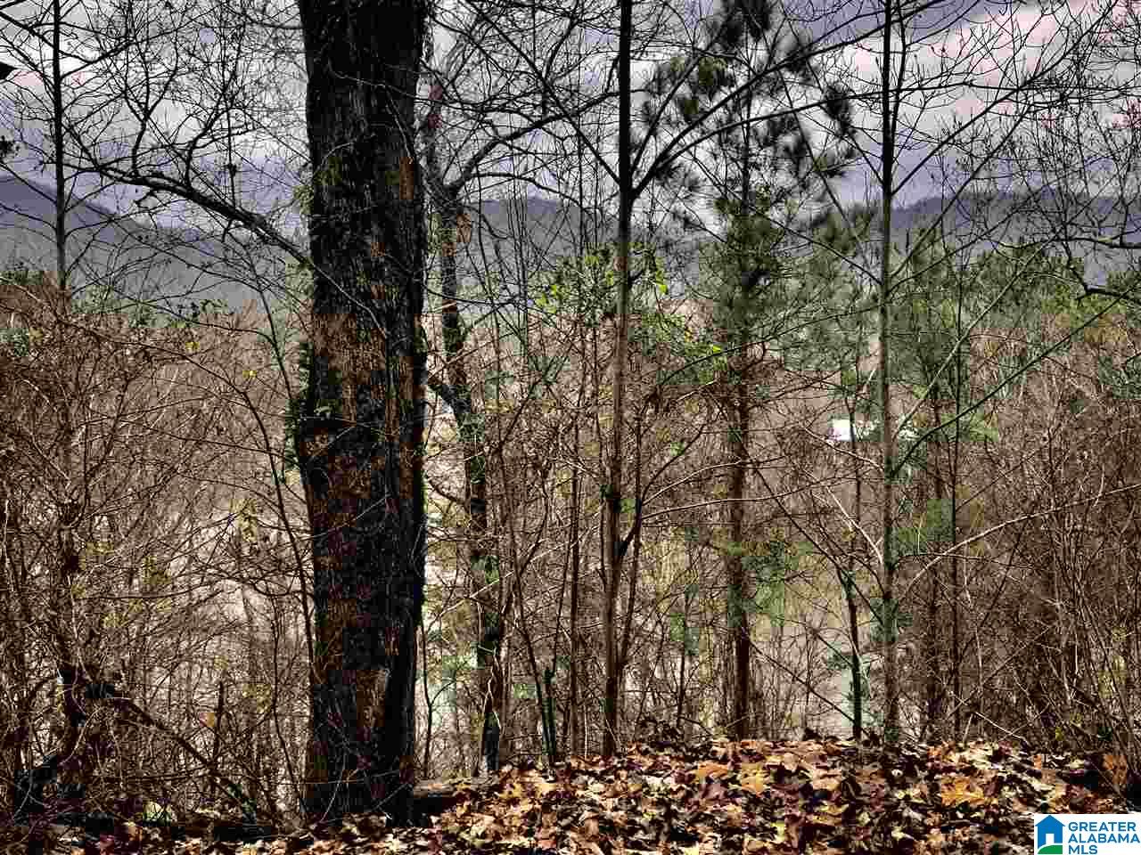 2660 Waldrop Road Ashville, AL 35953 - Photo 2 of 48