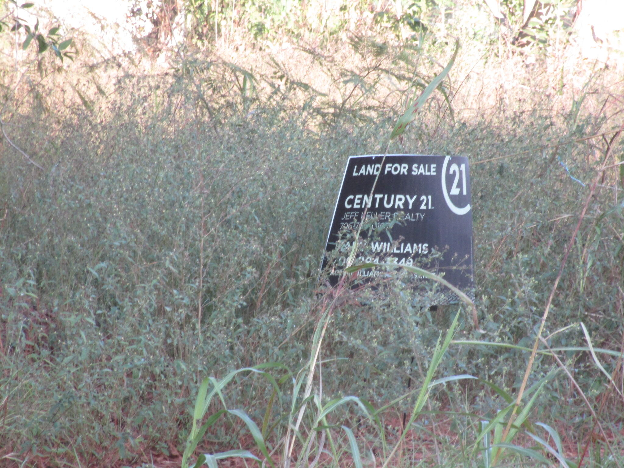 503 Dupont Street Augusta, GA 30901 - Photo 3 of 4 IMG_9005