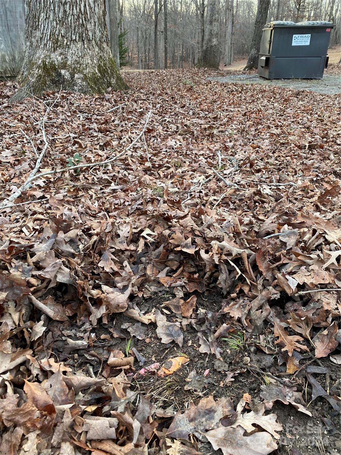 363 Reavis Road Harmony, NC 28634 - Photo 23 of 48 Gallery Image 23