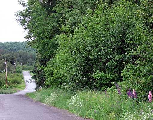 Lot 27 Sam Everett Road Fort Fairfield, ME 04742 - Photo 8 of 10 Land.