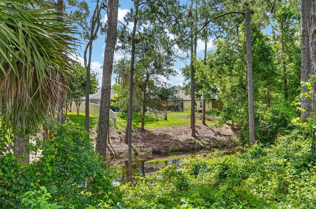 80 Roxboro Drive Palm Coast, FL 32164 - Photo 26 of 39 a view of a garden with a tree