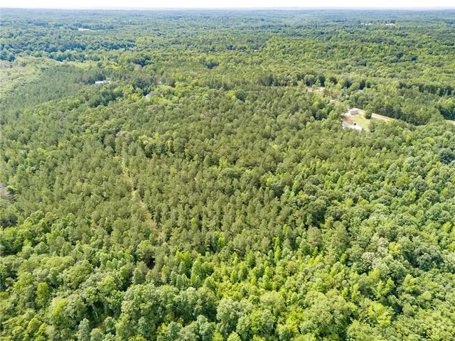 an aerial view of residential houses with outdoor space and trees
