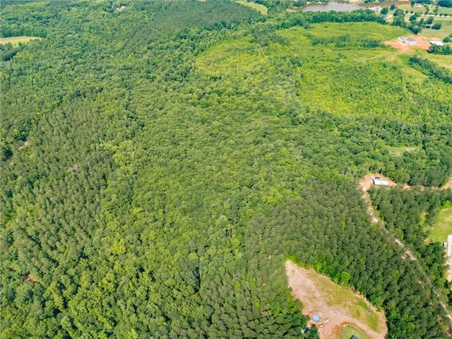 a view of a small yard with lots of green space