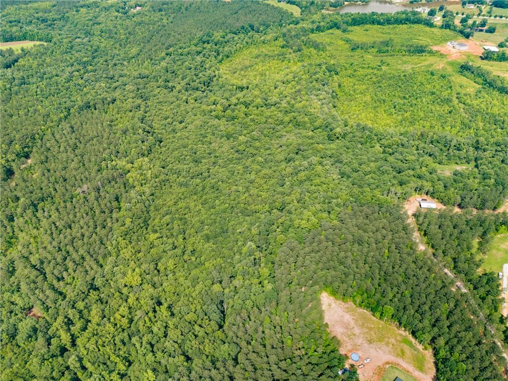 0 Wilson Road Temple, GA 30179 - Photo 3 of 9 a view of a small yard with lots of green space