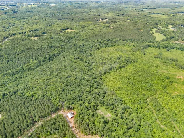 a view of a big yard with lots of bushes