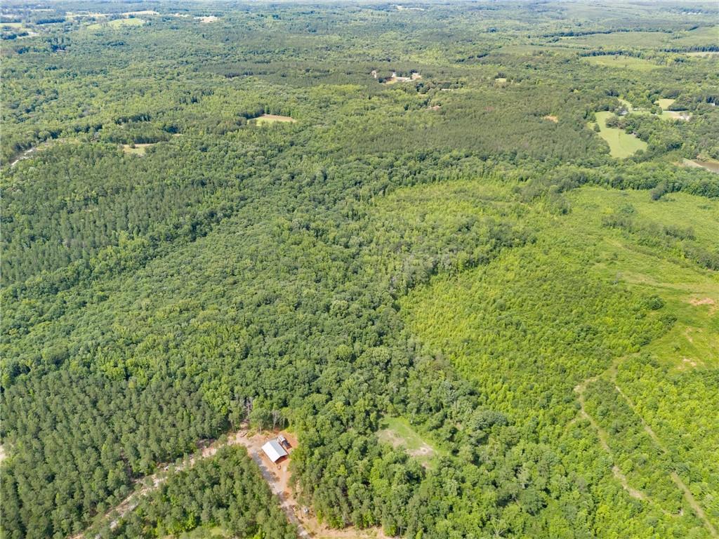 0 Wilson Road Temple, GA 30179 - Photo 4 of 9 a view of a big yard with lots of bushes