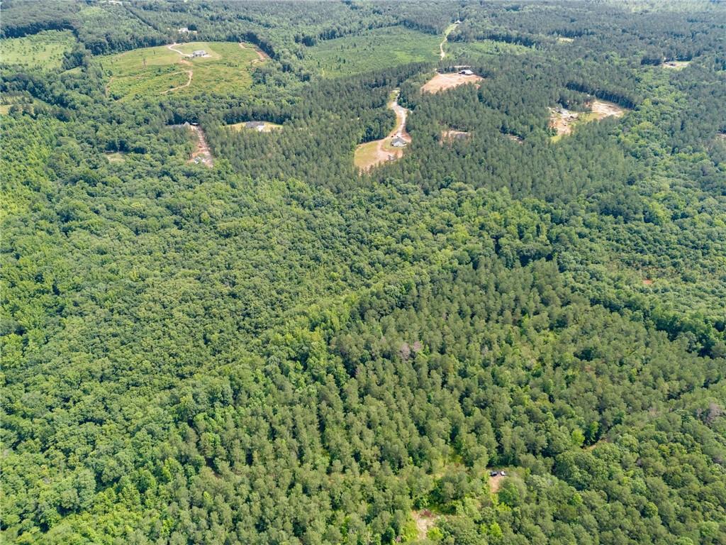 0 Wilson Road Temple, GA 30179 - Photo 5 of 9 a picture of a tree