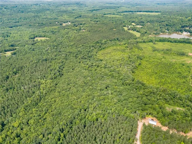 a view of a big yard with plants and large trees