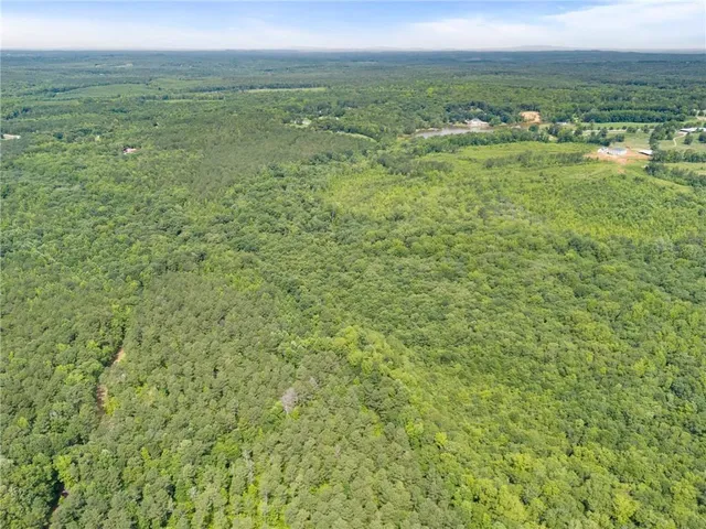 a view of a city with an ocean