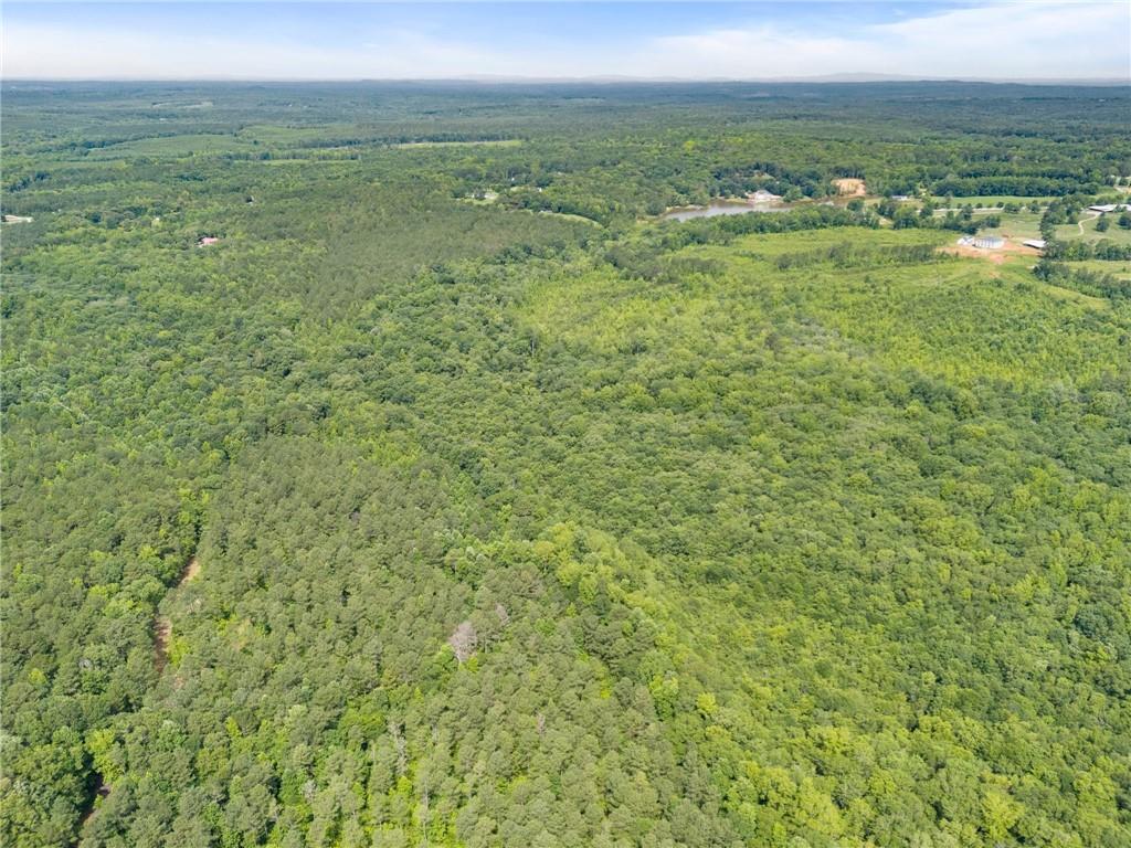 0 Wilson Road Temple, GA 30179 - Photo 8 of 9 a view of a city with an ocean