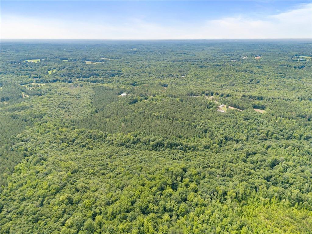 0 Wilson Road Temple, GA 30179 - Photo 9 of 9