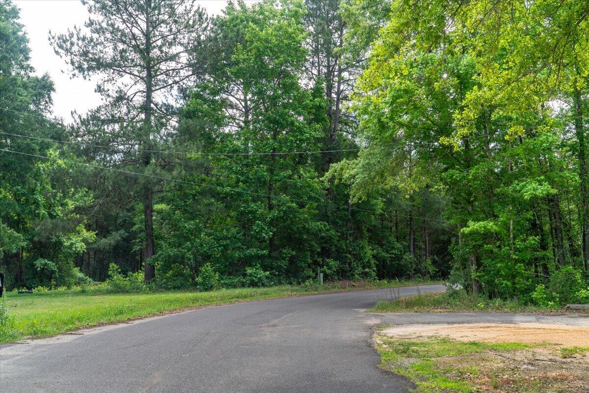 0 Deneaux Road Rowesville, SC 29133 - Photo 7 of 43 06-Deneaux-6