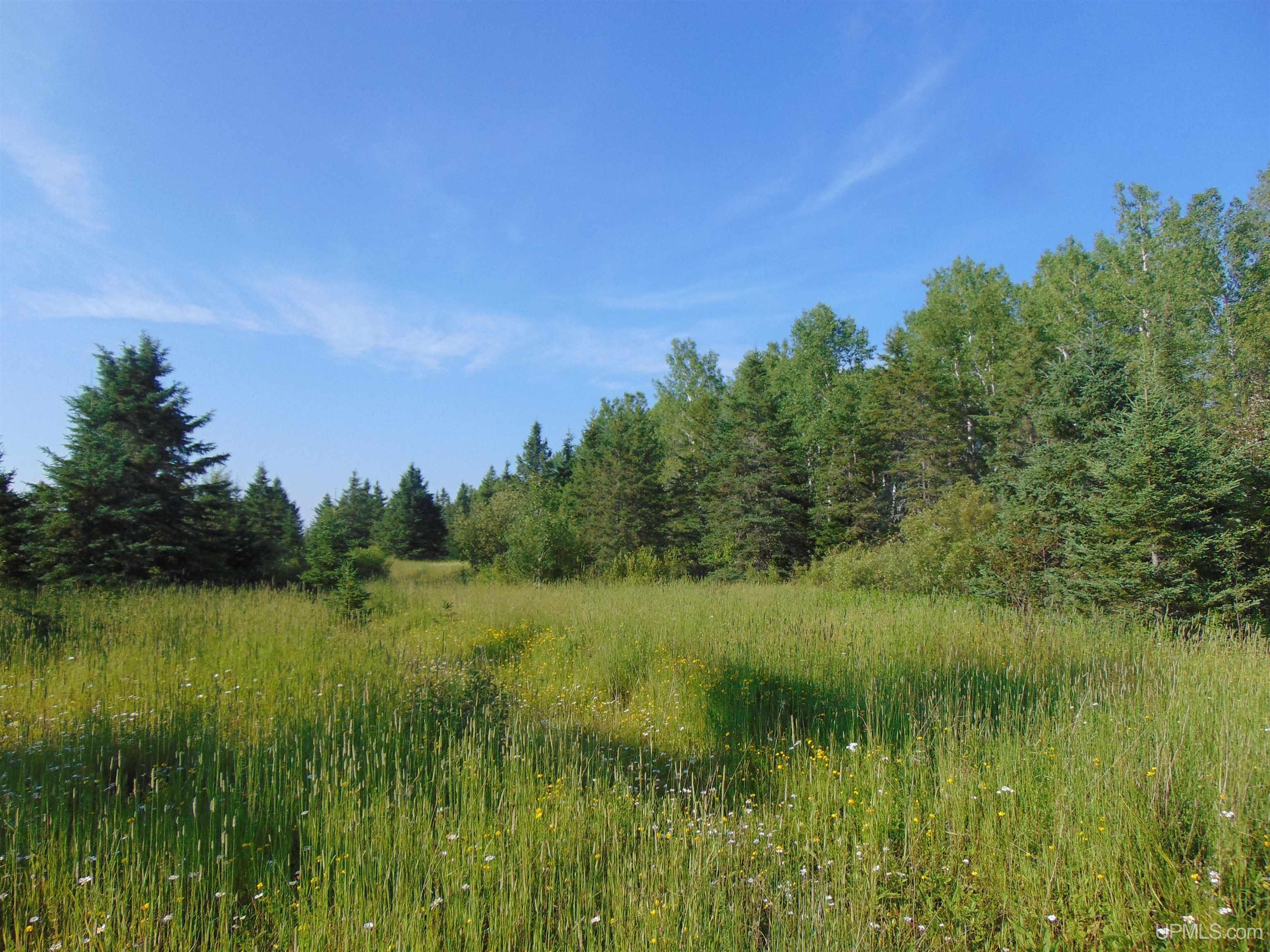 1 Cole Road Ewen, MI 49925 - Photo 15 of 18 Gallery Image 15