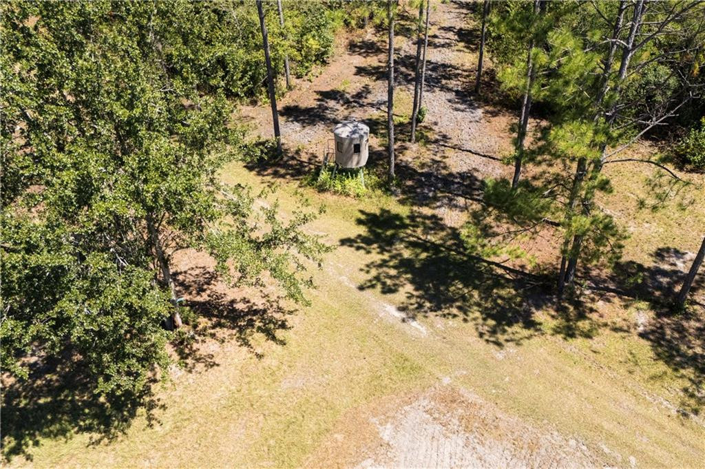 1603 Dl Durrence Road Reidsville, GA 30453 - Photo 30 of 31 Photo 30