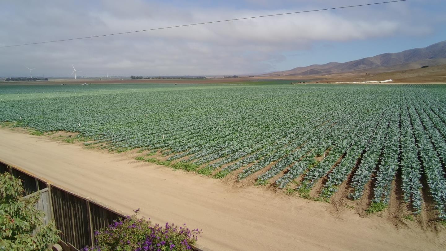 949 Terraza Street Soledad, CA 93960 - Photo 34 of 38 a view of a big yard with a mountain