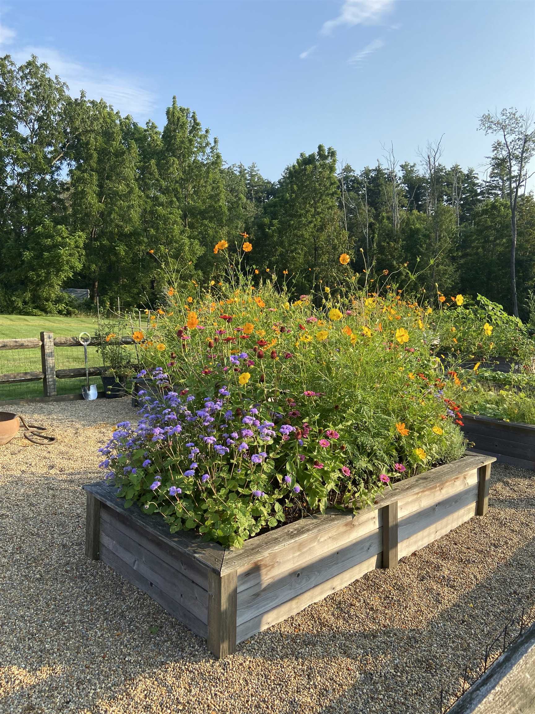 26 North Main Street, Unit 7 Mont Vernon, NH 03057 - Photo 33 of 51