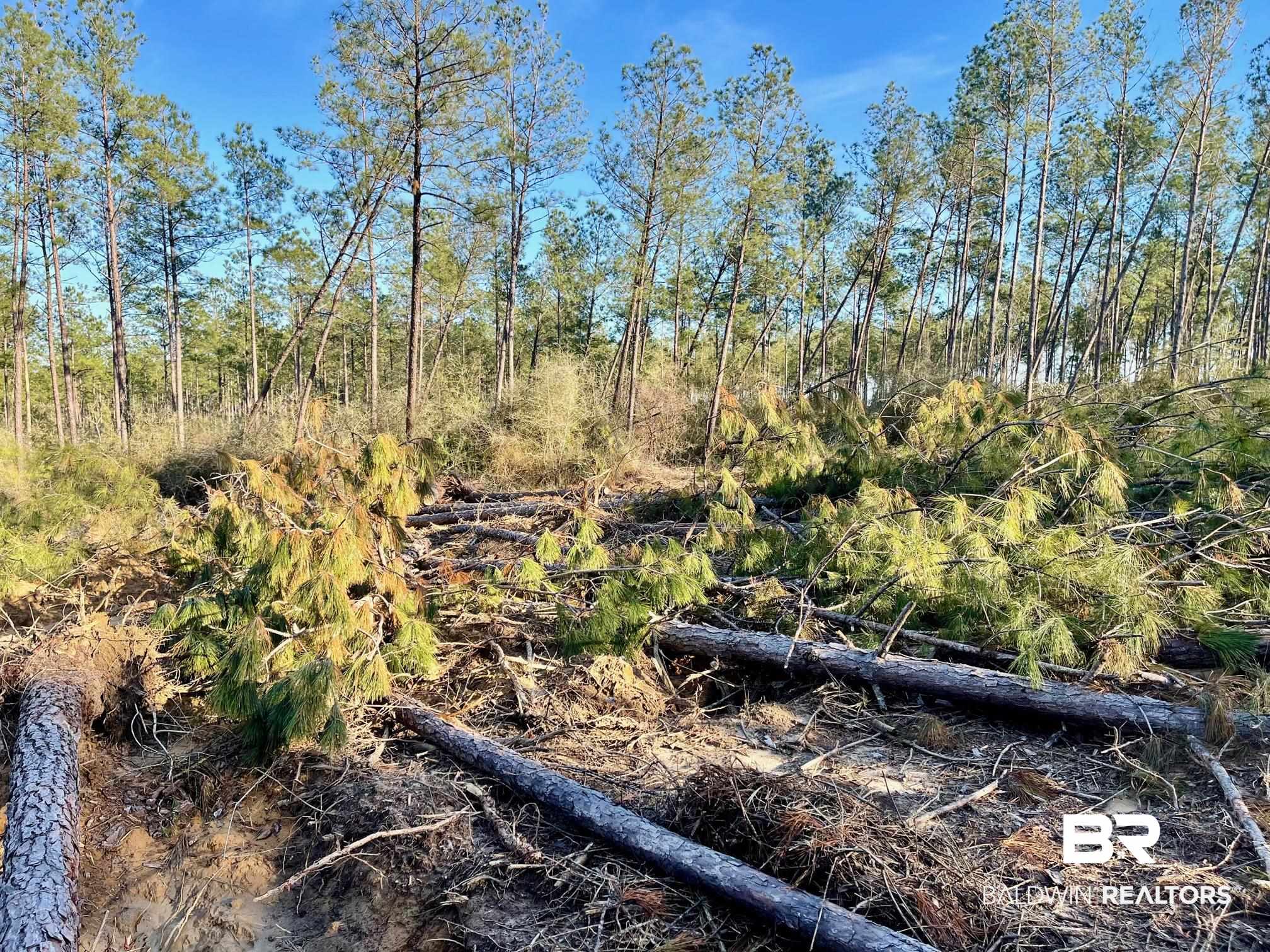 30147 Gardner Road Elberta, AL 36530 - Photo 14 of 28