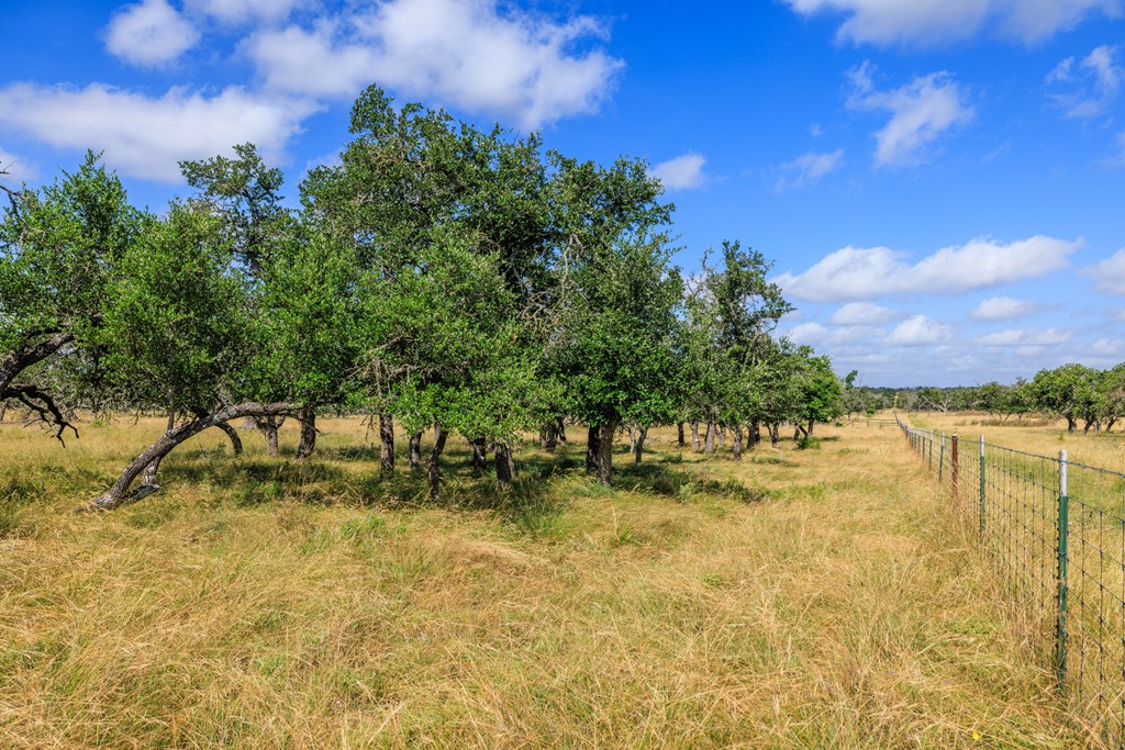 436 Stevens Ranch Road, Unit 8 Harper, TX 78631 - Photo 5 of 25