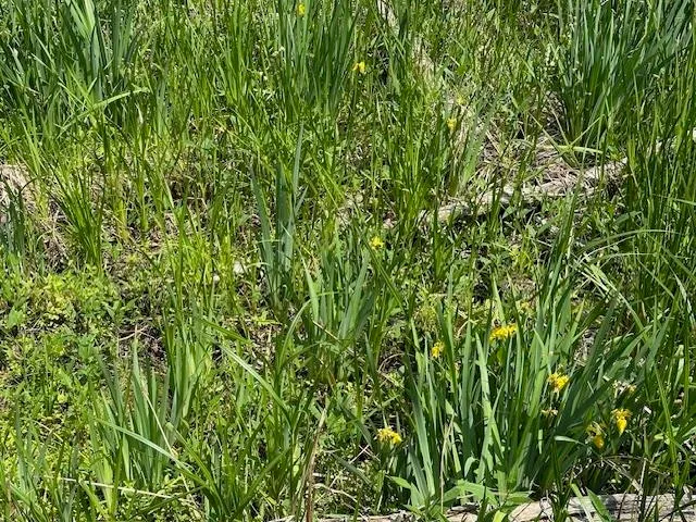 $184,900 | Lot 60 Lakeside, Edgerton, WI 53534