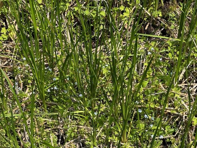 Lot 60 Lakeside Edgerton, WI 53534 - Photo 12 of 12