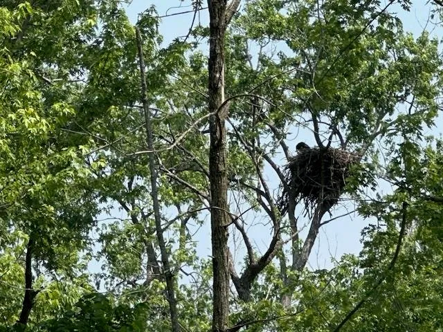 $184,900 | Lot 60 Lakeside, Edgerton, WI 53534