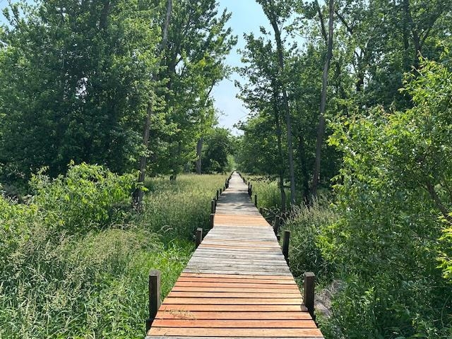 Lot 60 Lakeside Edgerton, WI 53534 - Photo 6 of 12