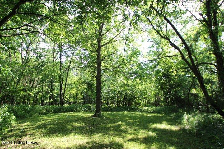 1225 Anderson City Road Lawrenceburg, KY 40342 - Photo 30 of 43 30