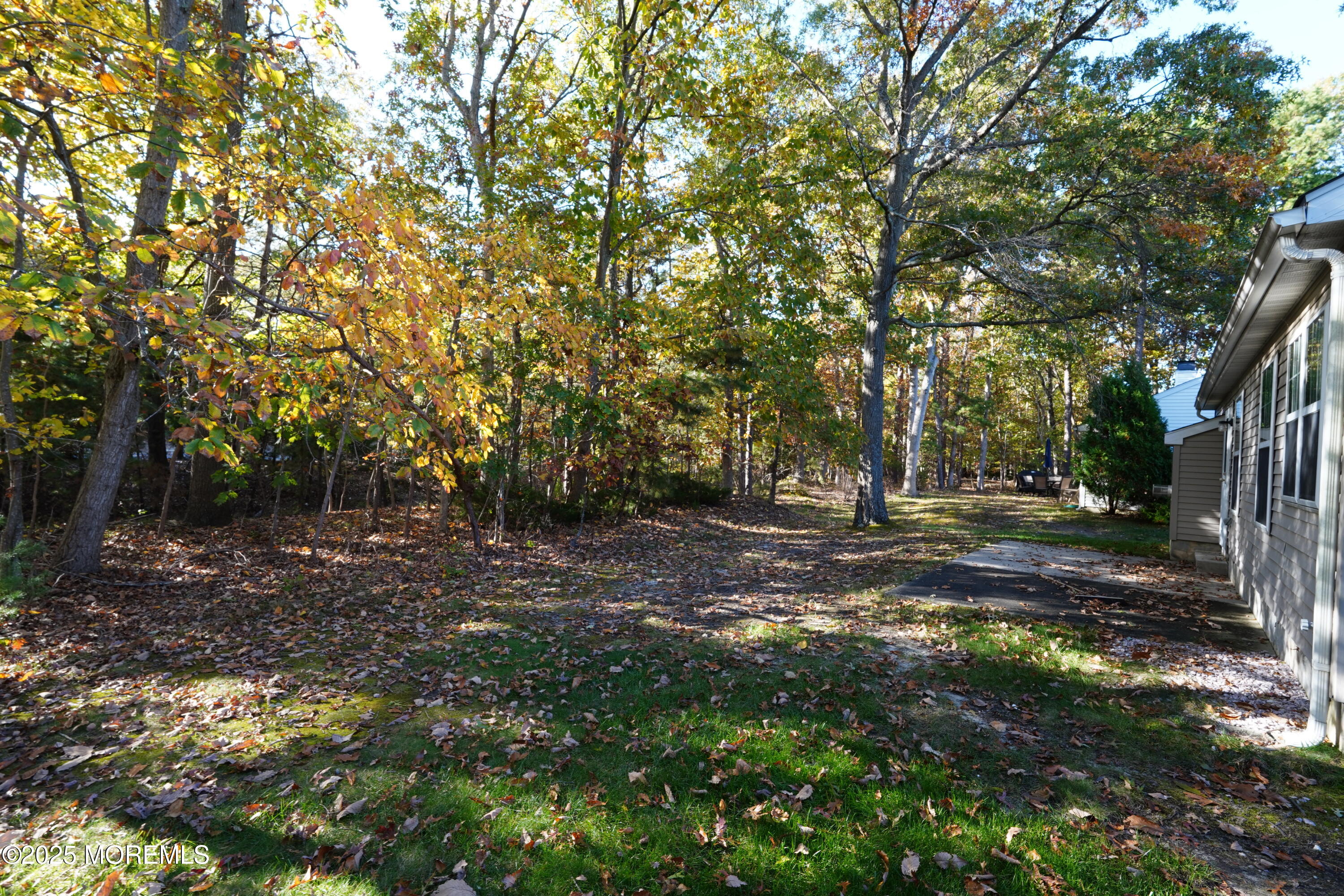 9 Abbot Court Jackson, NJ 08527 - Photo 38 of 47 a view of a yard with a tree