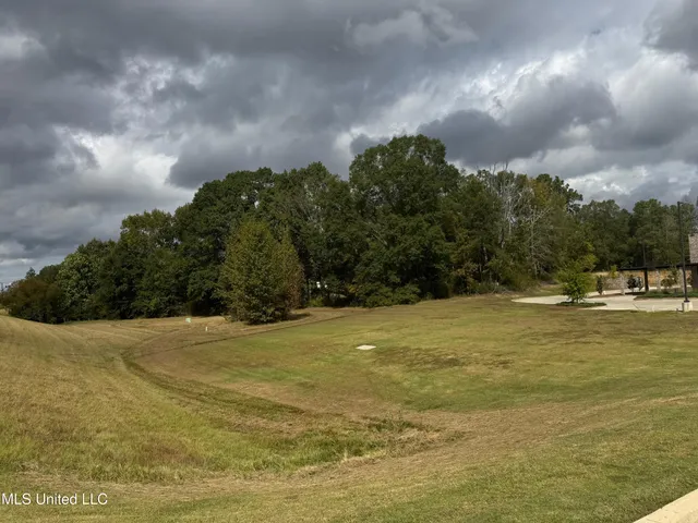 $30,000 | Ms-18, Brandon, MS 39042