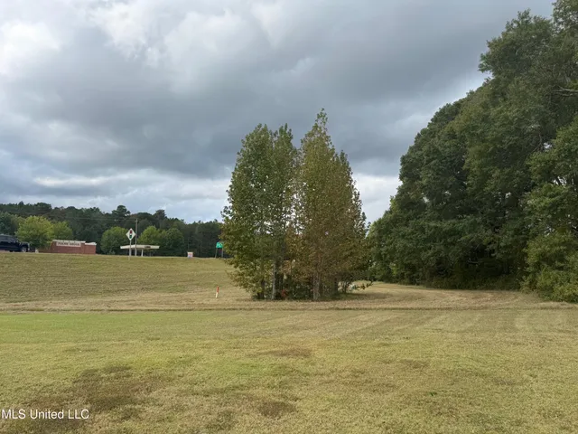 $30,000 | Ms-18, Brandon, MS 39042