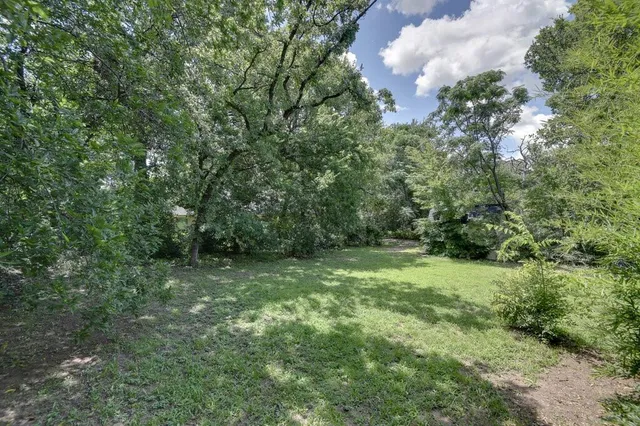 a view of a lush green space