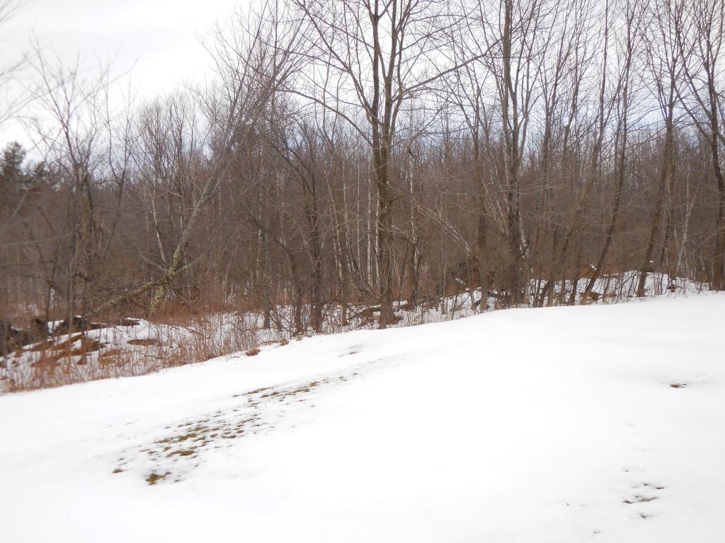 3350 Boston Post Road Enosburg Falls, VT 05450 - Photo 13 of 22 Gallery Image 13