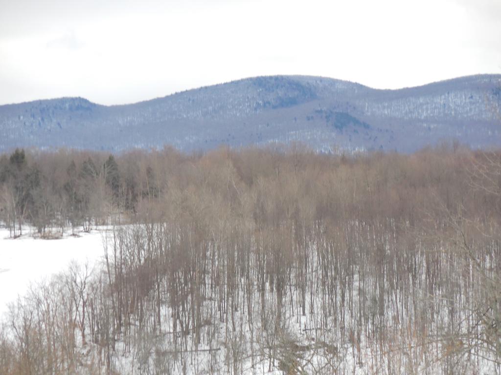 3350 Boston Post Road Enosburg Falls, VT 05450 - Photo 15 of 22 Gallery Image 15